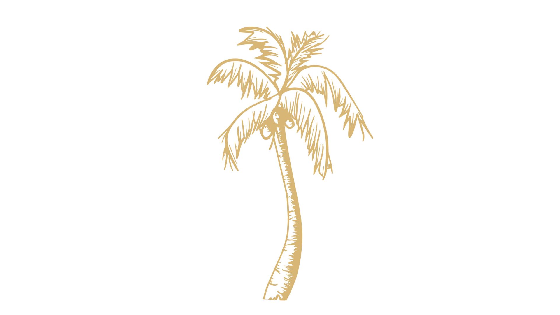 logo palmboom Binti Home